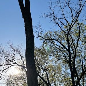 Meet your Posher, Natalia